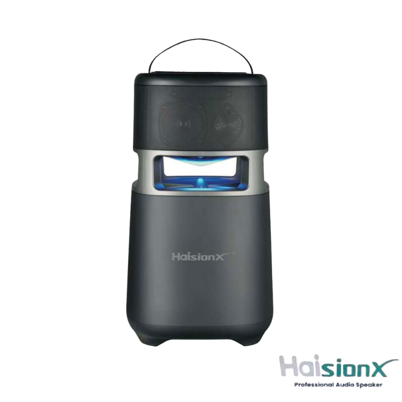 Haisionx 6.5" Party Speaker | HS-919
