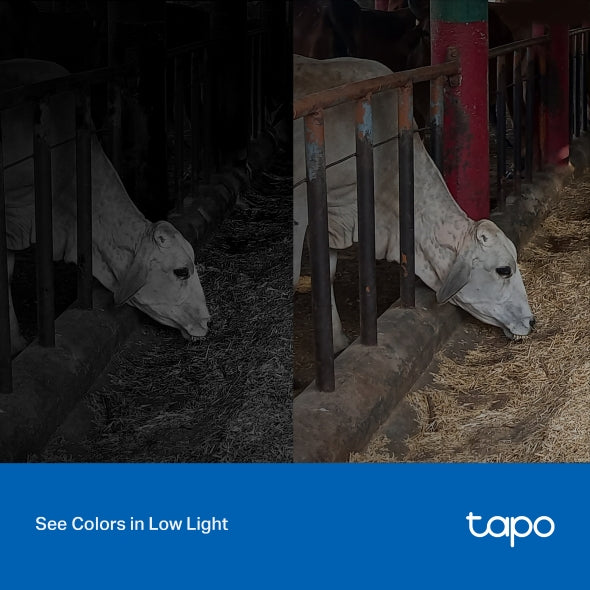 Tapo Outdoor Security Wi-Fi Camera | C320WS