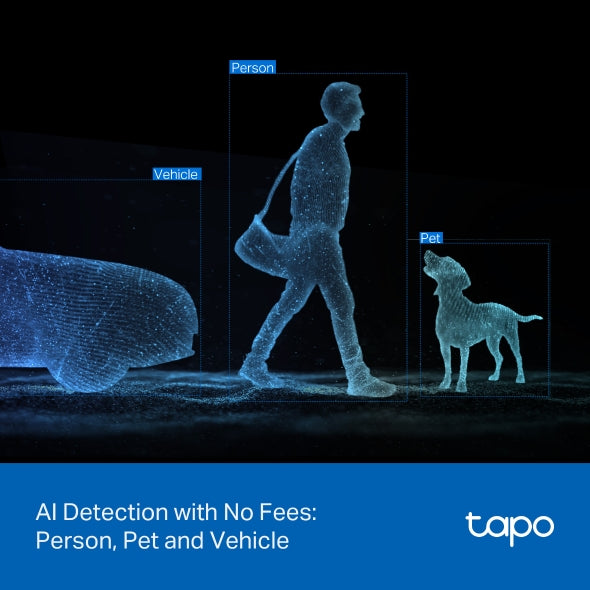 Tapo Outdoor Security Camera | C545D
