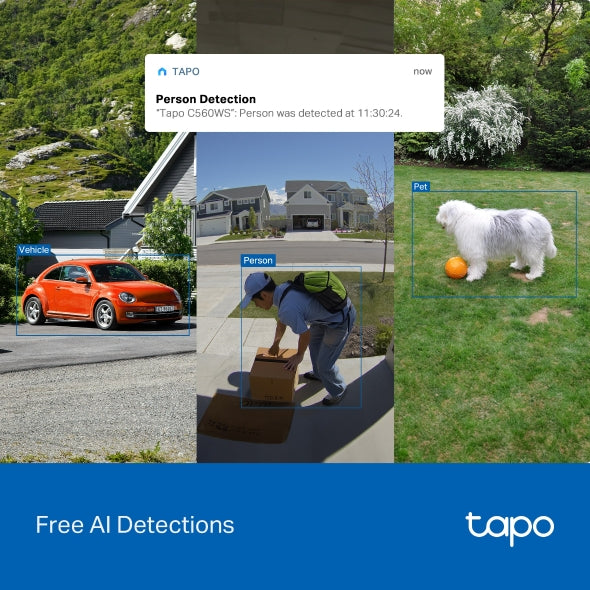 Tapo Outdoor Security Wi-Fi Camera | C560WS