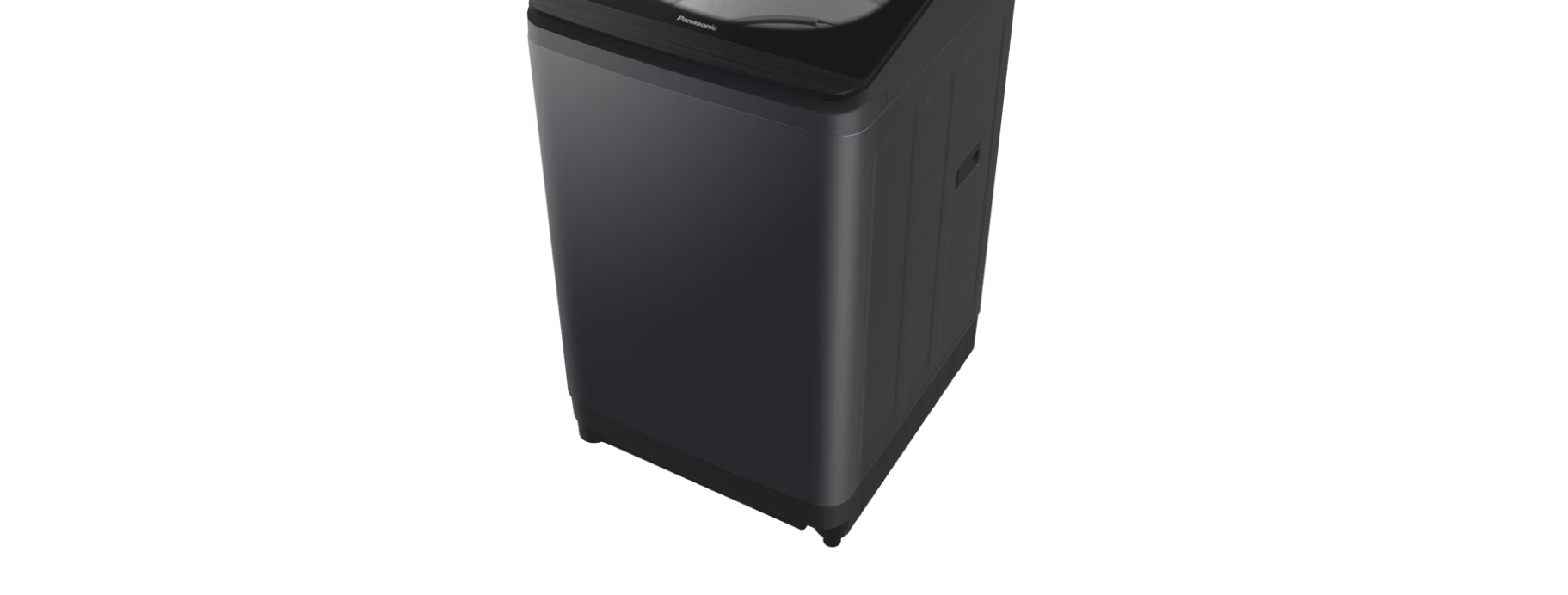 Panasonic 10Kg Fully Auto Washer NA-F100A9BRG