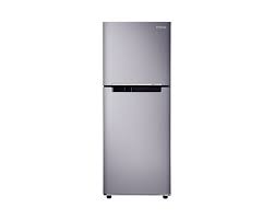 Samsung 2 Door Fridge | RT20FARVDSA/ME