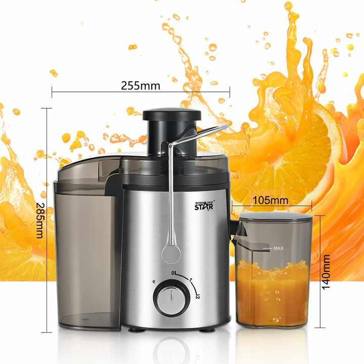 Winning Star 800ML Juicer - ST-5546-L