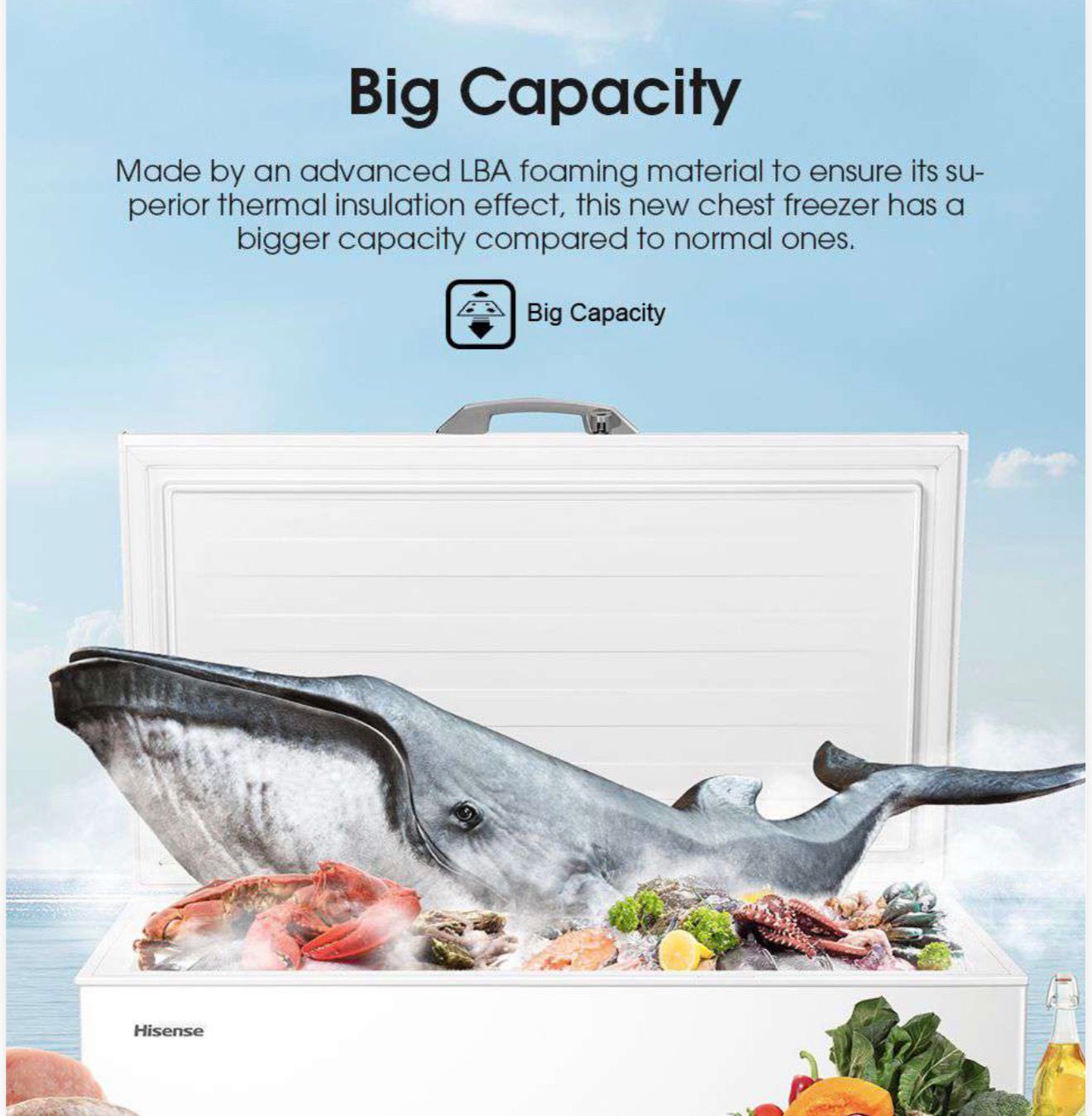 Hisense Chest Freezer - 424L