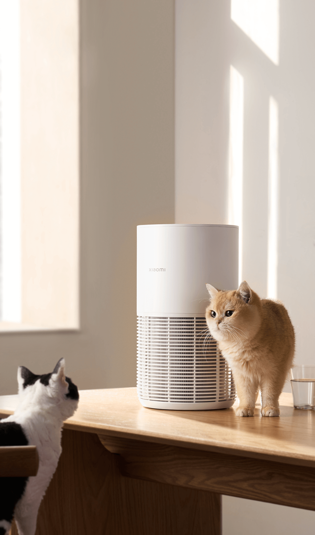 Xiaomi Smart Pet Care Air Purifier